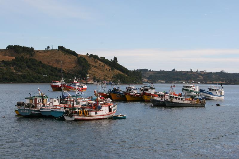 1760_Dalcahue_0466 