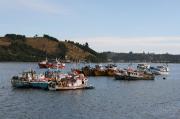 1760_Dalcahue_0466