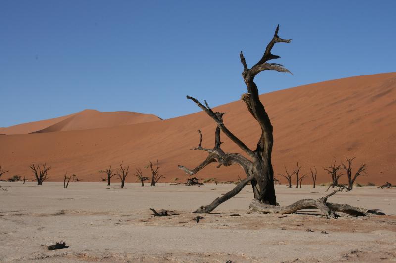 009_Deadvlei 