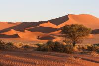 003_Sossusvlei