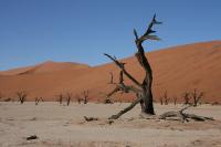 009_Deadvlei