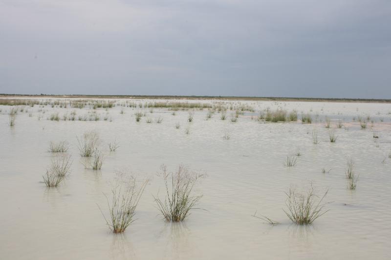 005_Etosha 