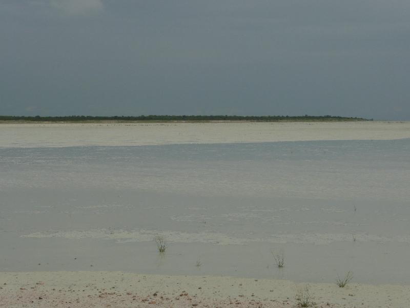 006_Etosha 