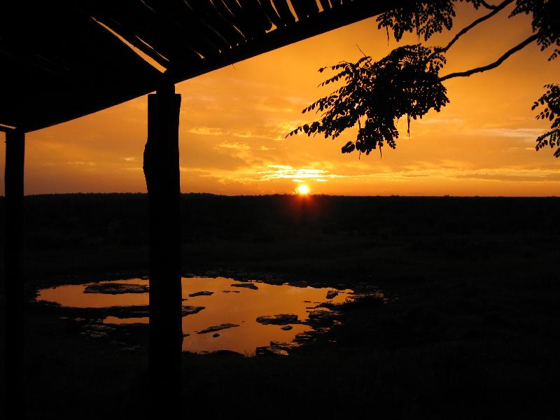 010_Etosha 