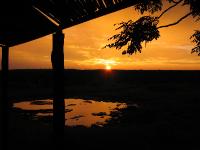 010_Etosha