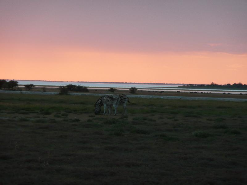 017_Etosha 