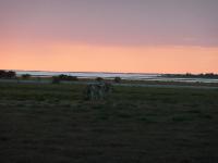 017_Etosha 