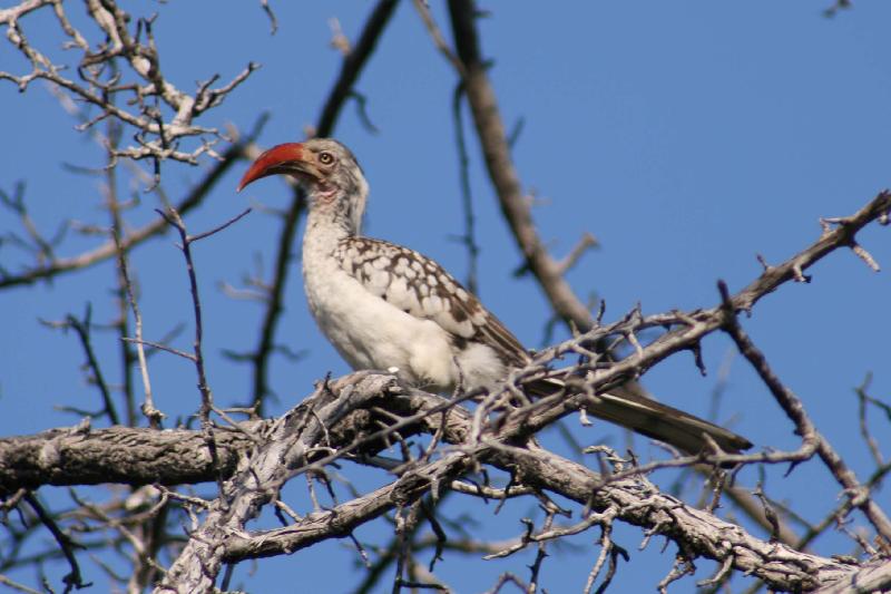 003_Etosha 