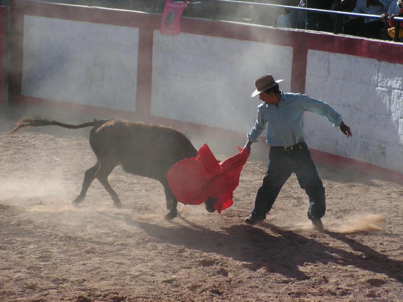 1190A_Andaray_toros 