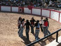 1176A_Andaray_toros 