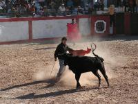 1179A_Andaray_toros 