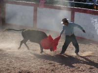 1190A_Andaray_toros