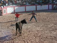 1196A_Andaray_toros