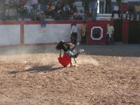 1199A_Andaray_toros