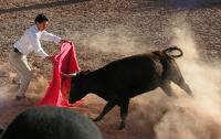 1205A_Andaray_toros