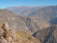 1294A_Colca