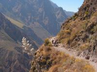 1307A_Colca