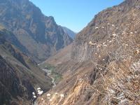 1311A_Colca