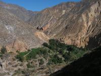 1353A_Colca_Sangalle