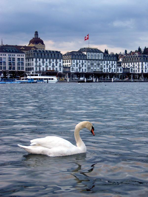 015_Luzern 