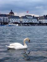 015_Luzern 