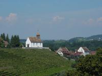 203_Rheinau 