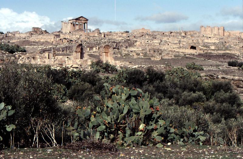 118_Dougga 