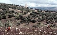 117_Dougga