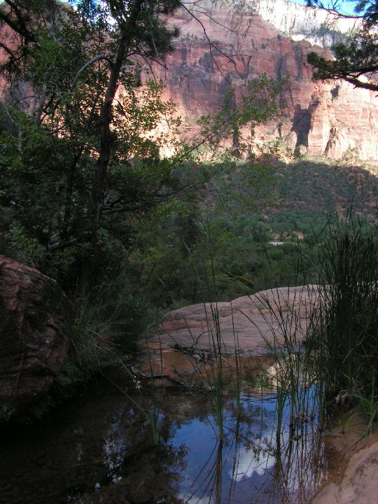 3723_Zion 